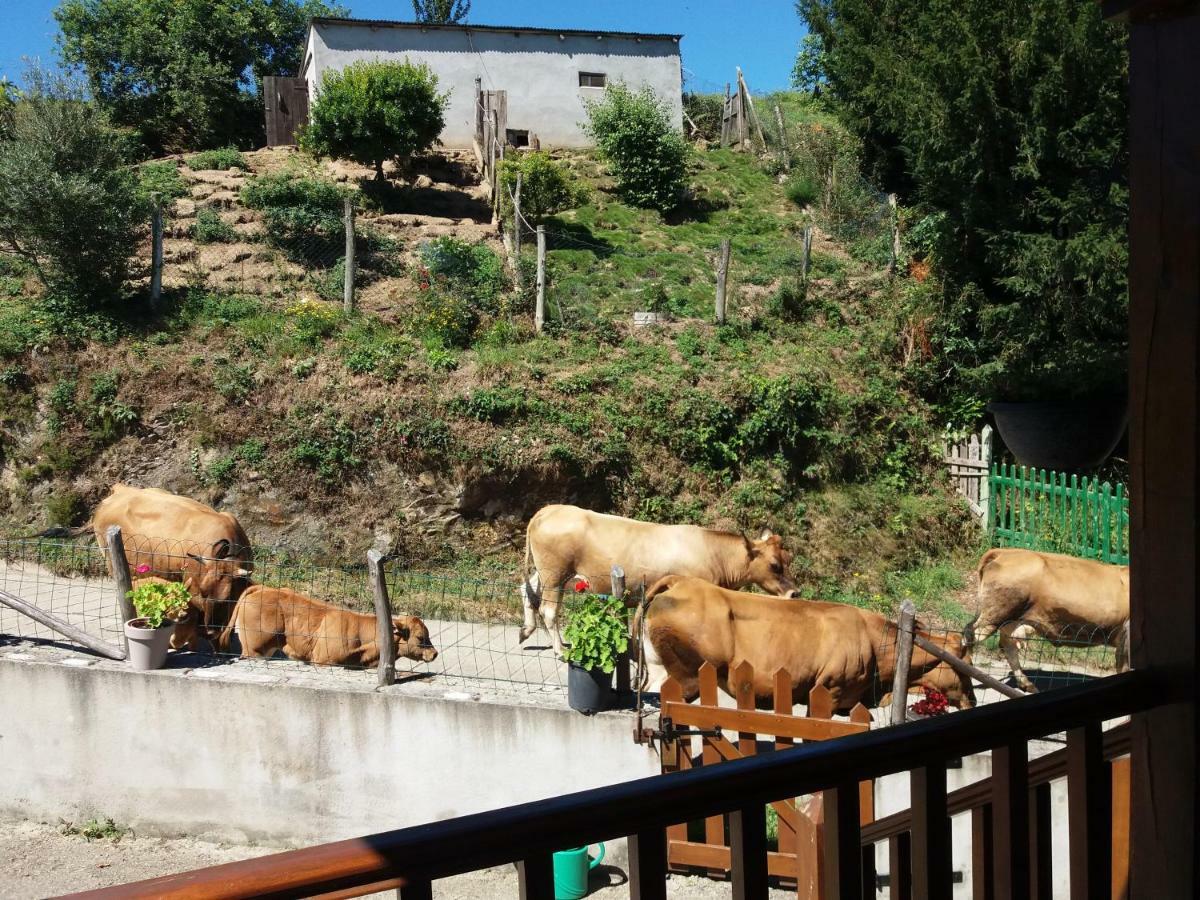 סנטה אאולליה דה אוסקוס Apartamentos Rurales Tia Vicenta מראה חיצוני תמונה