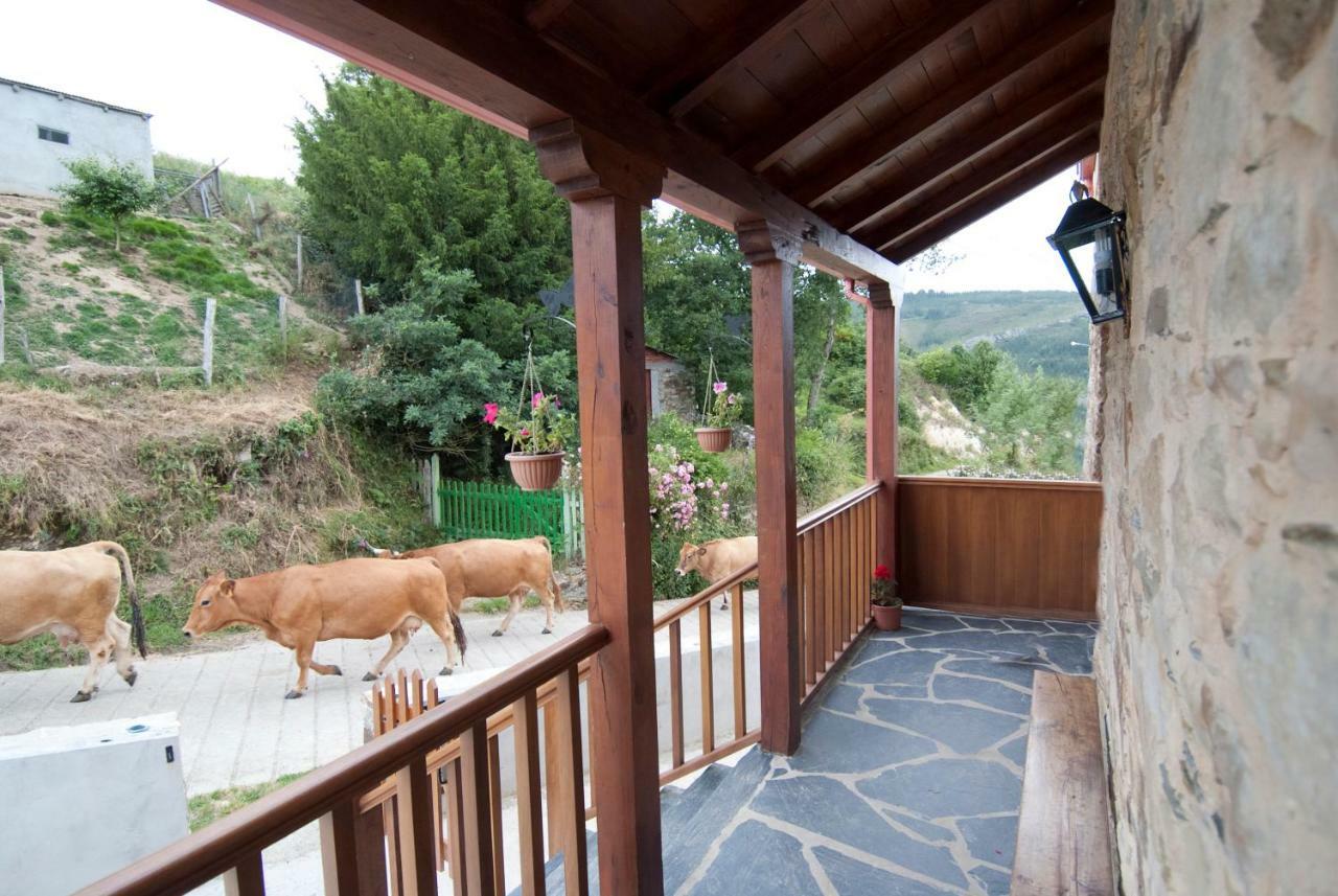 סנטה אאולליה דה אוסקוס Apartamentos Rurales Tia Vicenta מראה חיצוני תמונה